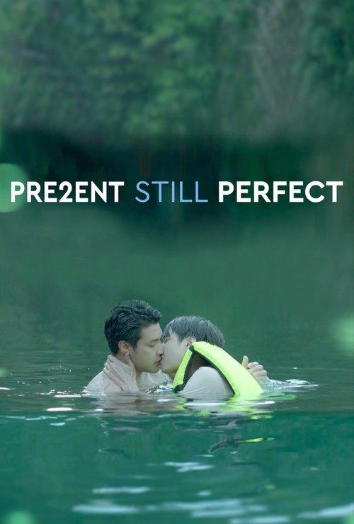 Download Present Still Perfect poster