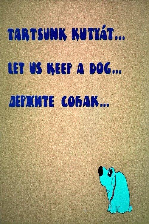 Download Let Us Keep a Dog poster