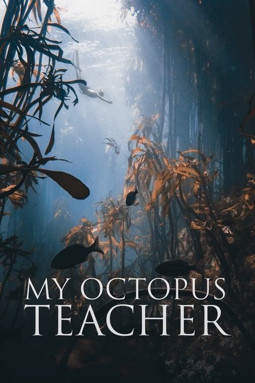 Download My Octopus Teacher poster