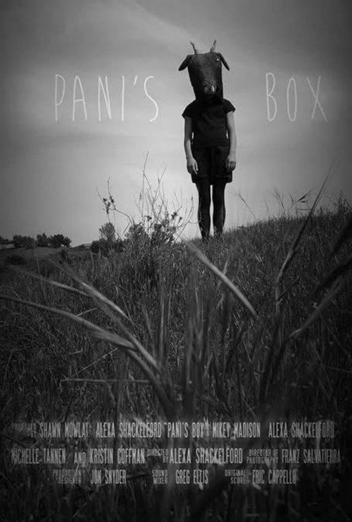 Download Pani's Box poster