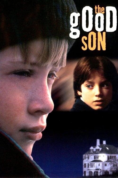 Download The Good Son poster