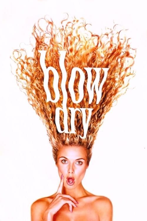Download Blow Dry poster