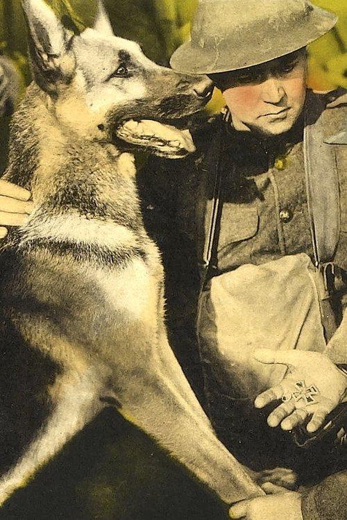 Download His Master's Voice poster