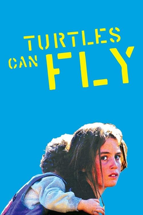 Download Turtles Can Fly poster