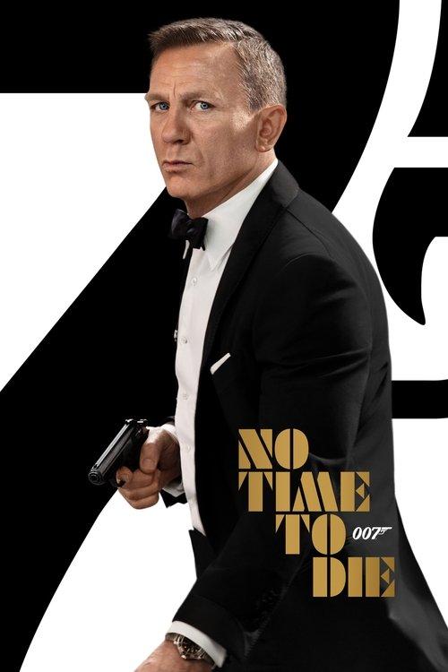 Download No Time to Die poster