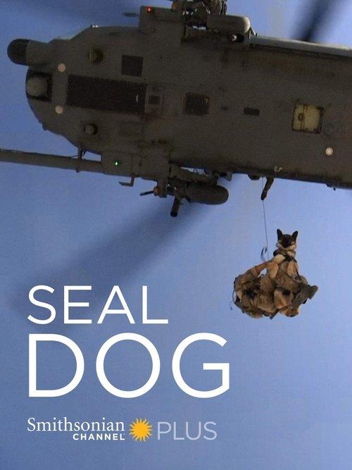 Download SEAL Dog poster