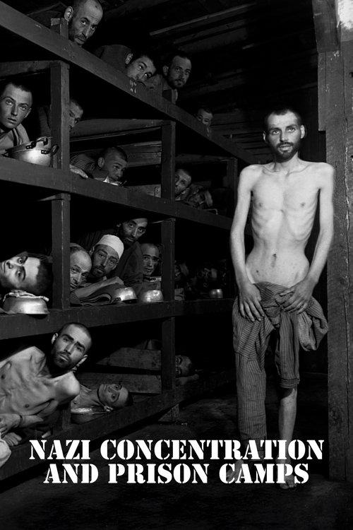 Download Nazi Concentration Camps poster