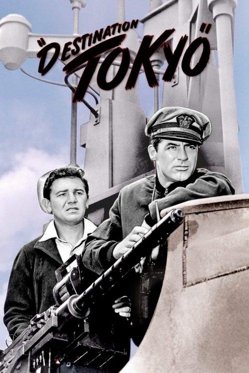 Download Destination Tokyo poster