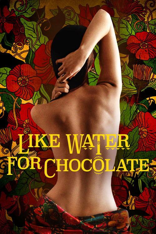 Download Like Water for Chocolate poster