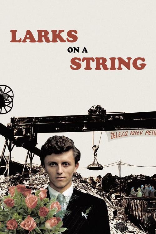 Download Larks on a String poster