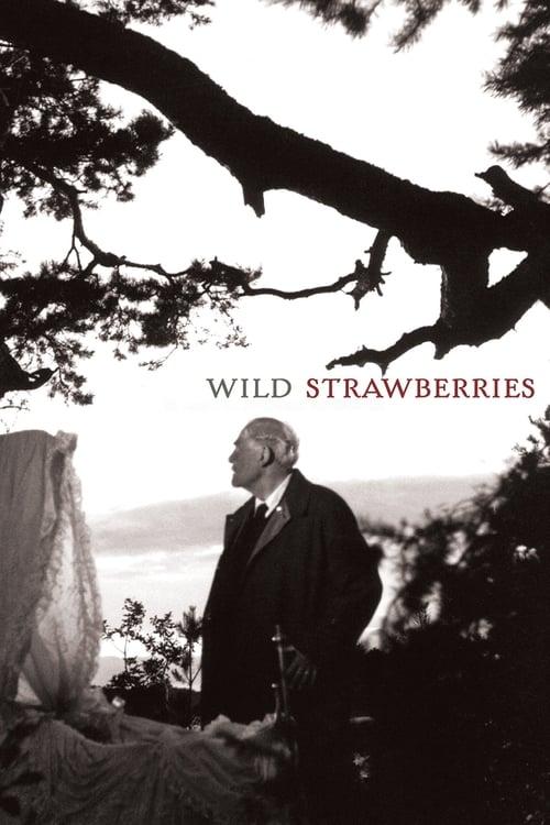 Download Wild Strawberries poster