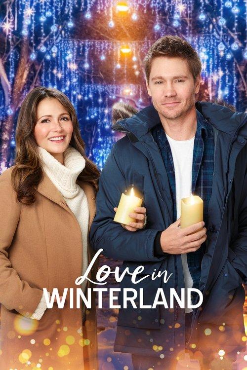 Download Love in Winterland poster