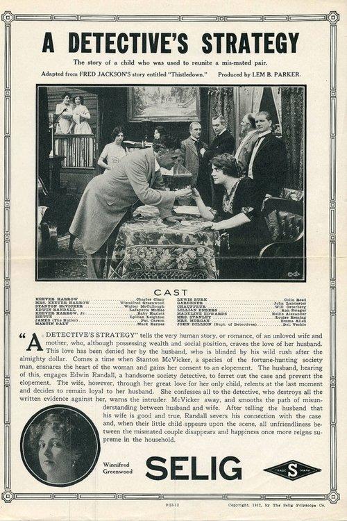 Download A Detective's Strategy poster