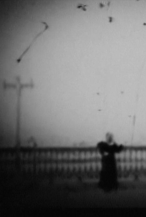 Download Il tango della neve poster