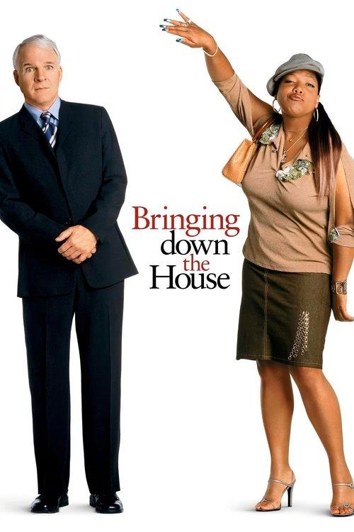 Download Bringing Down the House poster