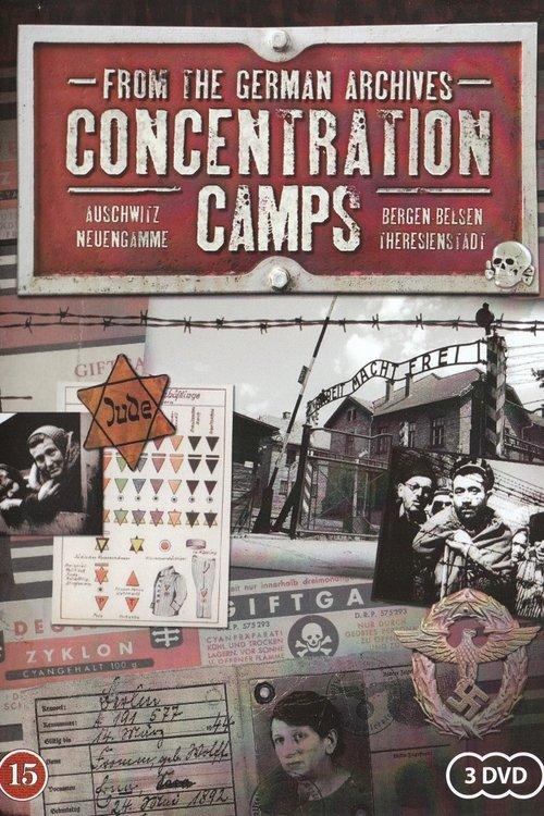 Download The Liberation of Auschwitz poster