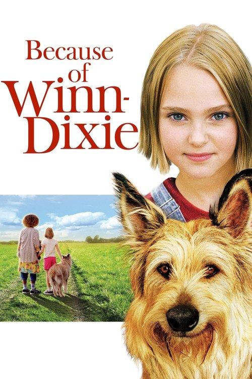 Download Because of Winn-Dixie poster