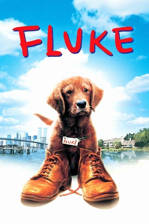 Download Fluke poster