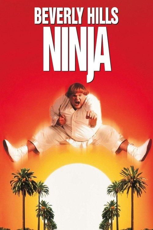 Download Beverly Hills Ninja poster
