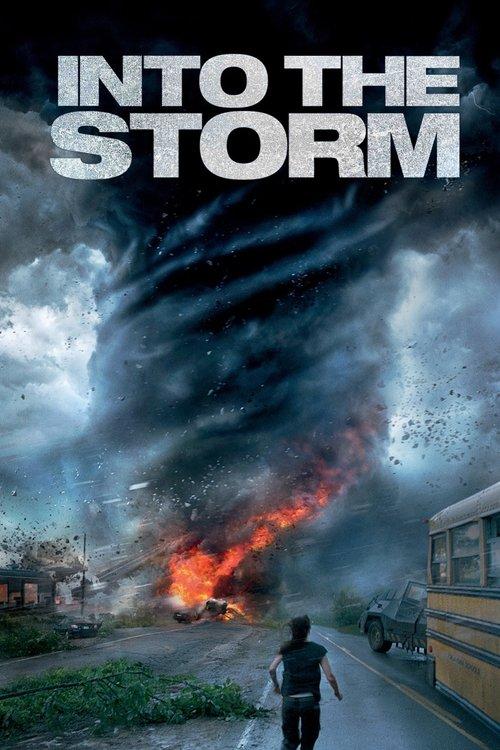 Download Into the Storm poster