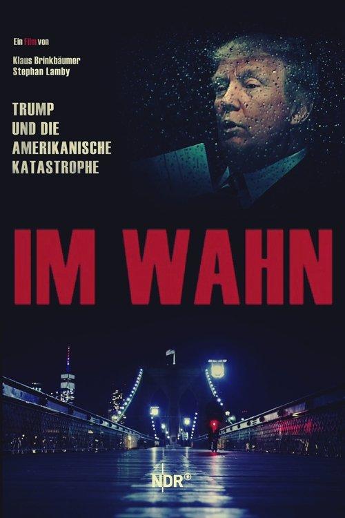 Download In Delusion: Trump and the American Catastrophe poster