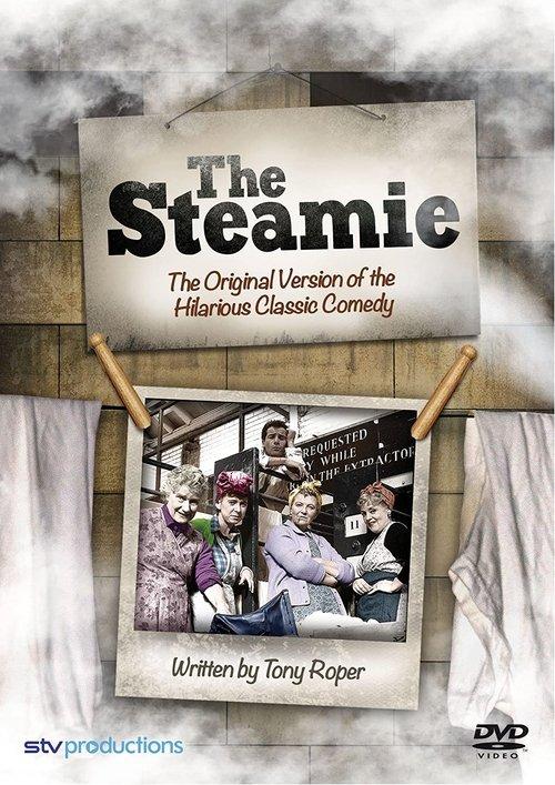 Download The Steamie poster