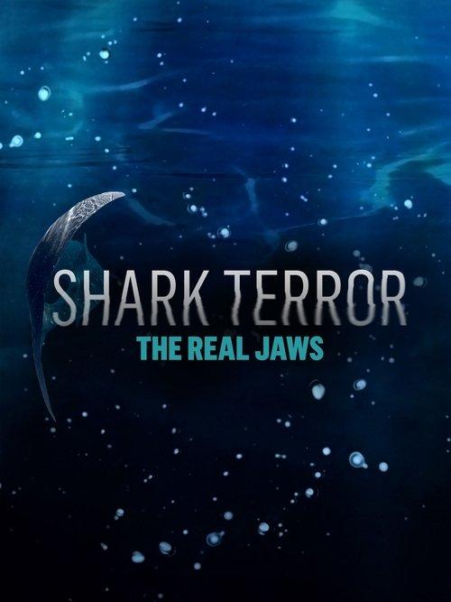 Download Shark Terror: The Real Jaws poster