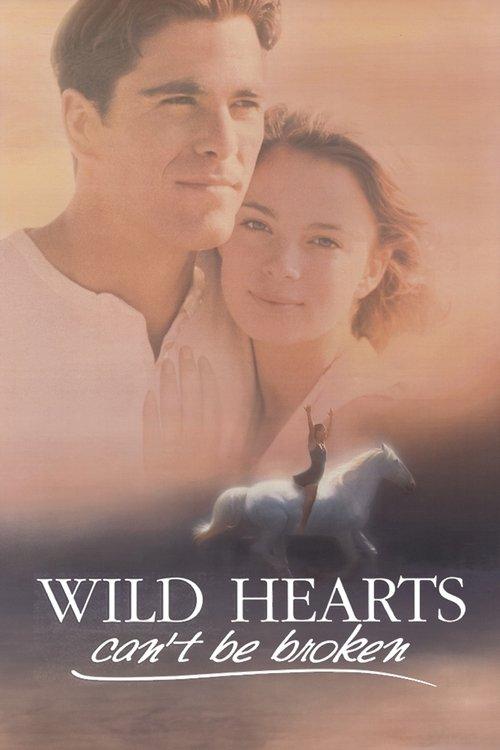 Download Wild Hearts Can't Be Broken poster