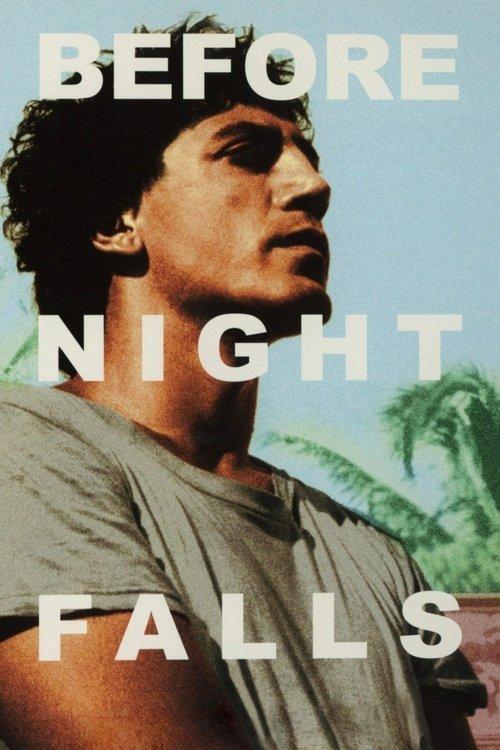 Download Before Night Falls poster