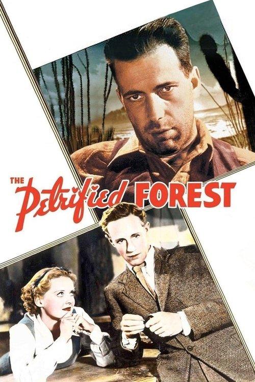Download The Petrified Forest poster