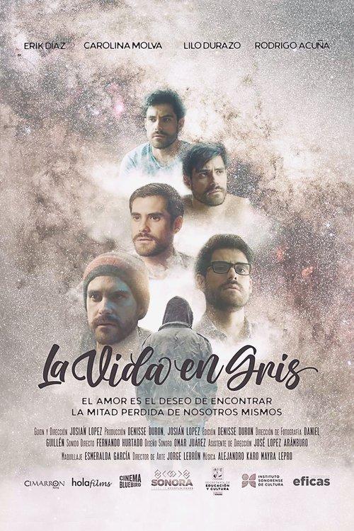 Download La vida en gris poster