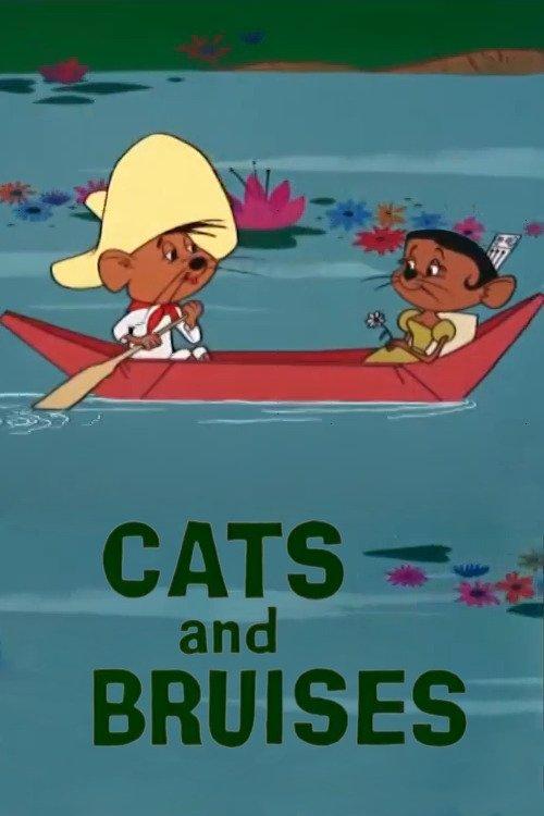 Download Cats and Bruises poster