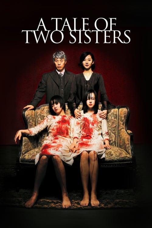 Download A Tale of Two Sisters poster