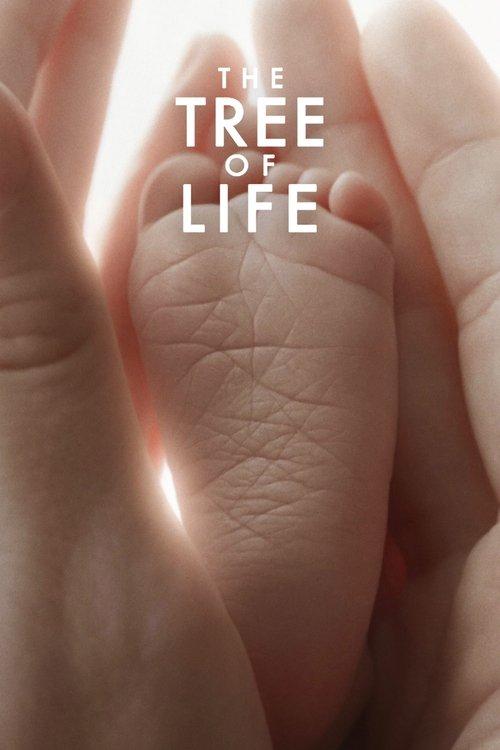 Download The Tree of Life poster