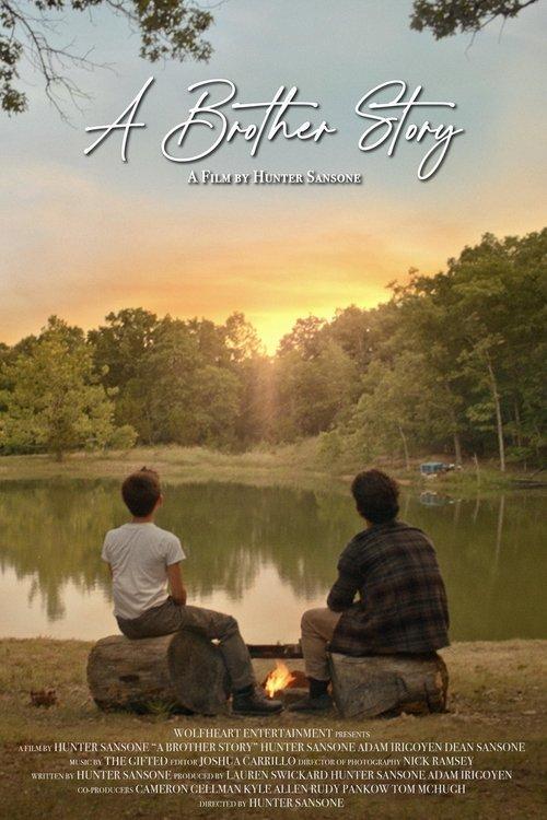 Download A Brother Story poster