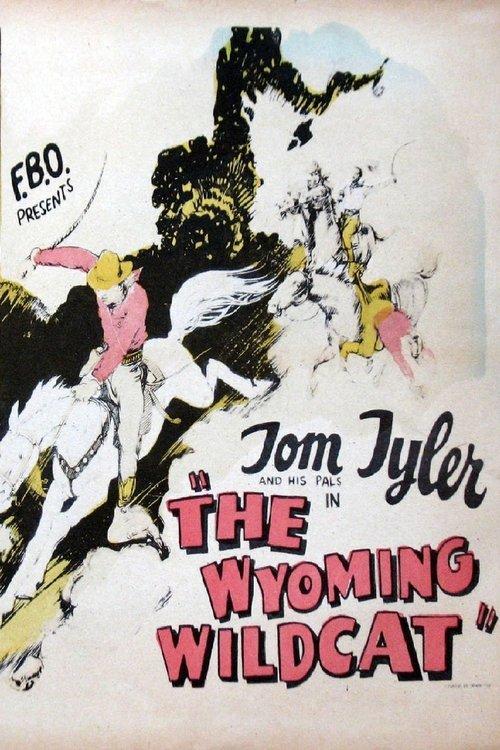 Download The Wyoming Wildcat poster