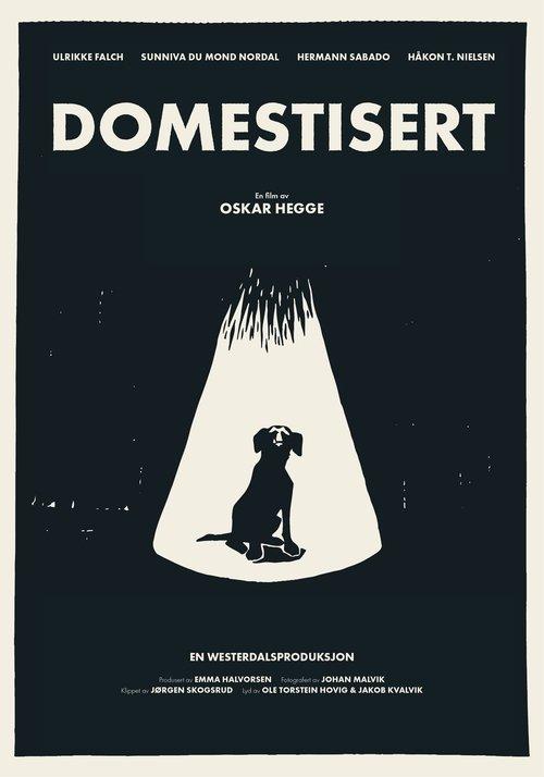 Download Domestisert poster