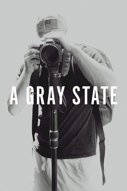 Download A Gray State poster