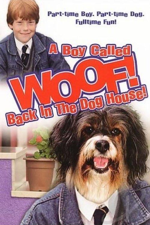 Download A Boy Called Woof! poster
