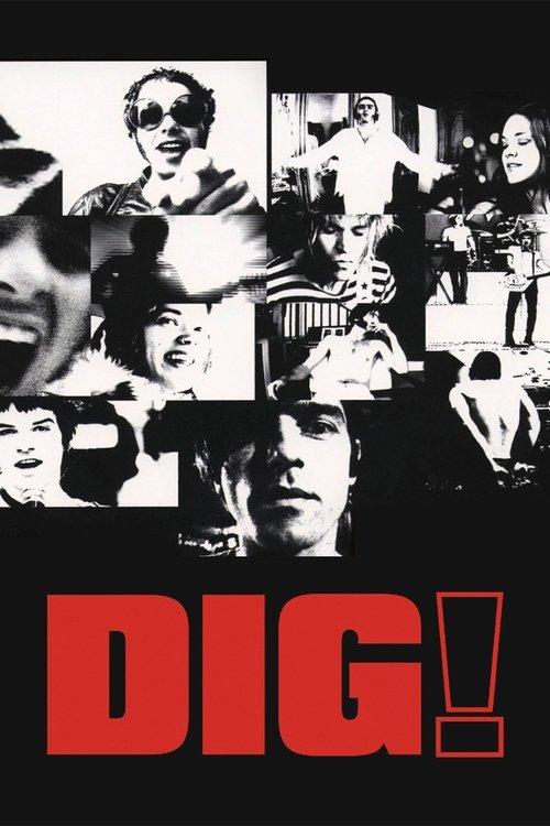 Download Dig! poster