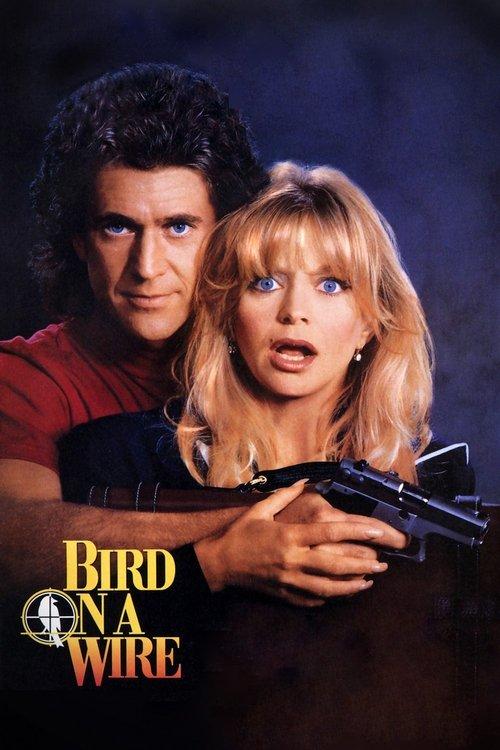 Download Bird on a Wire poster