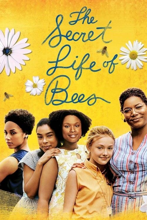 Download The Secret Life of Bees poster