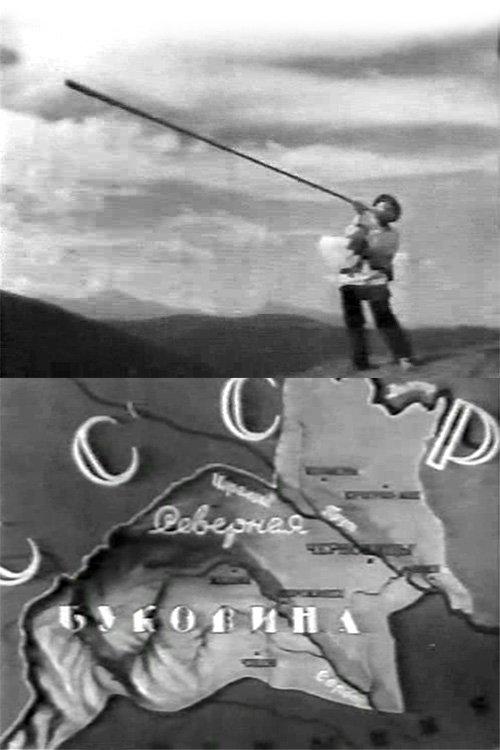 Download Bukovyna, Ukrainian Land poster