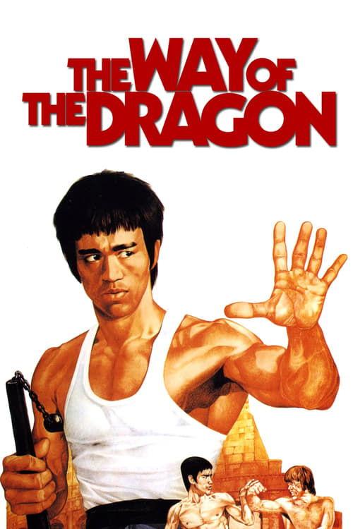 Download The Way of the Dragon poster