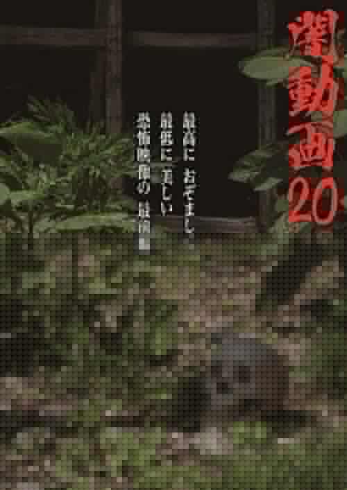 Download Tokyo Videos of Horror 20 poster