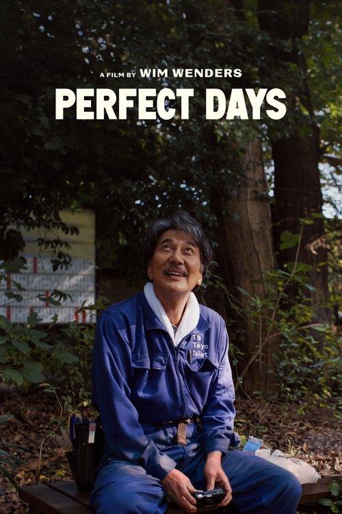 Download Perfect Days poster