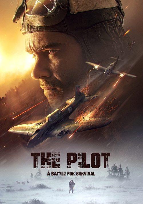 Download The Pilot: A Battle for Survival poster