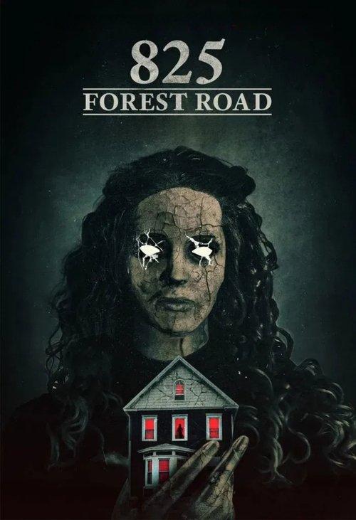 Download 825 Forest Road poster