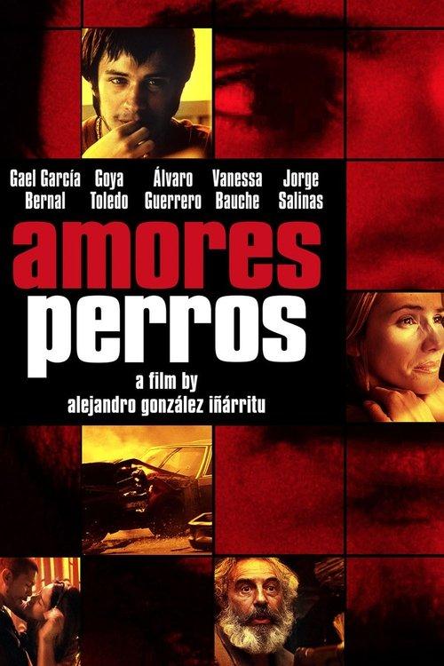 Download Amores Perros poster
