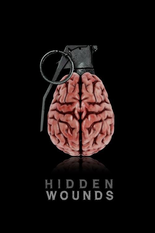 Download Hidden Wounds poster